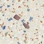 Granito-–Terrazzo16-20